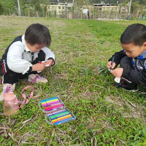 小兰幼儿园—🌸畅享春游,融入自然✨