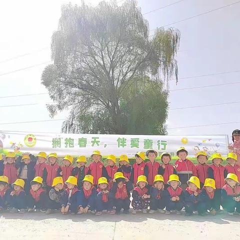 朝阳幼儿园中班第十一周/周记