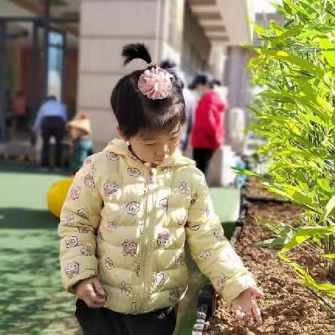 儿童之家托育中心——哈佛家