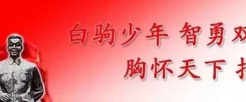 【白驹·工会】凝心聚力助发展，不忘初心再起航——我校工会暨替补委员选举圆满完成