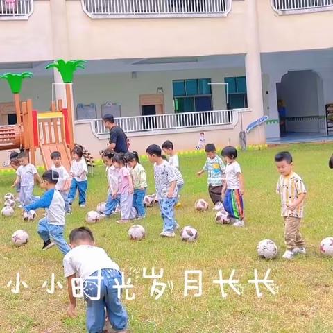 楚源曙光园中一班 第五周周工作总结