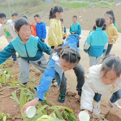 六盘水市水城区红山幼儿园大二班第五周周小结