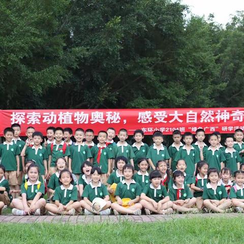 探索动植物奥秘，感受大自然神奇——记东环小学2104班“绿色广西”研学活动