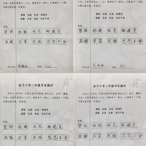 安子小学二年级书写测评