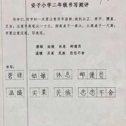 安子小学二年级书写测评