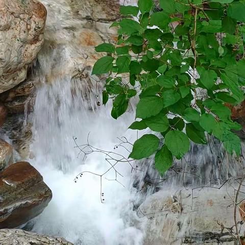 水火无情，教育先行——挂兰峪中学防溺水安全教育纪实