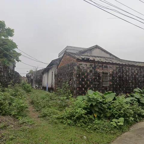 雅德村委会继续开展人居环境整治活动