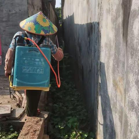 雅德村持续开展“清洁家园、防蚊灭蚊”活动
