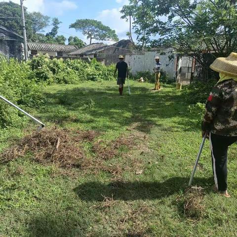 雅德村开展人居环境整治活动
