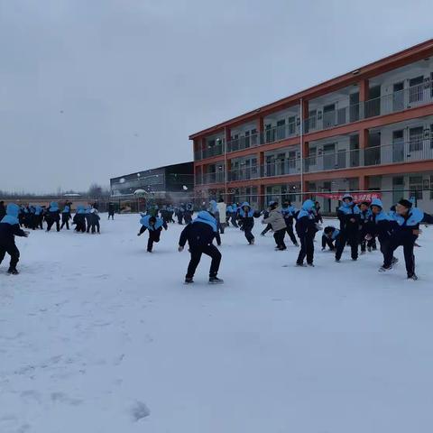 美好冬日，打雪仗啦