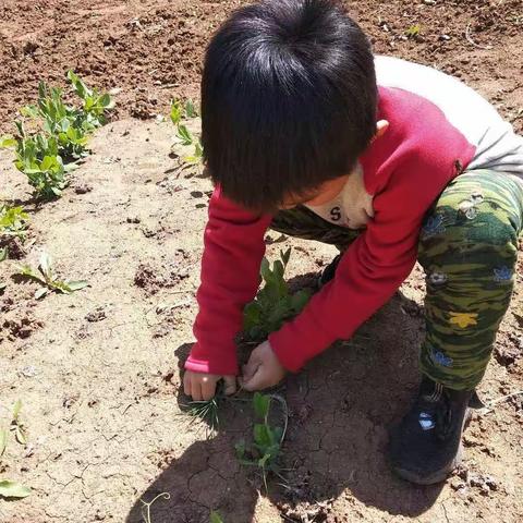 实验中学七年级二部半日实践活动  “实践出真知”