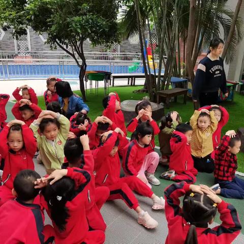 第13周小记——协和幼儿园岭南园区大一班