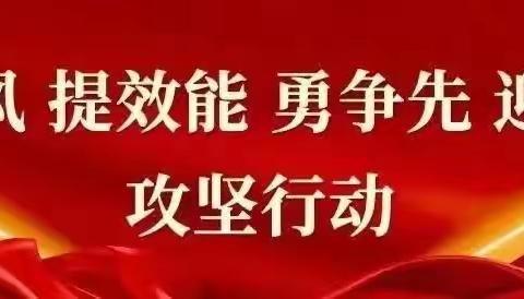 【我是党员我先行】内丁农场环境卫生整治，党员在行动