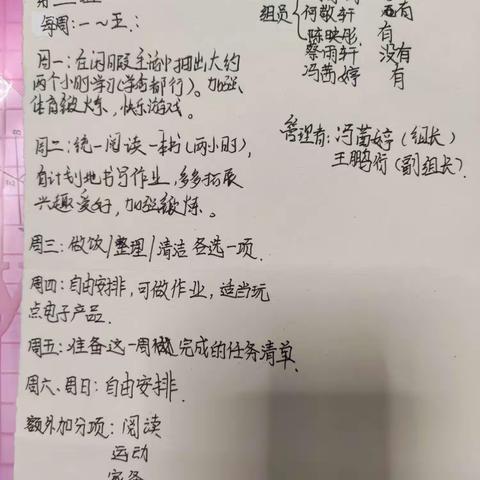 石榴籽的暑假计划与期末反思