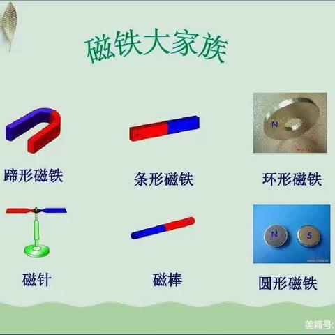 《好玩的磁铁》财信——北园幼儿园小二班科学活动