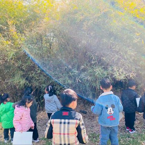 森林幼儿园芽芽班（第六周）