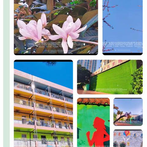 春来妙趣多，一起来发现——西工区凯旋路小学二年级语文主题融合课程之“一起来发现”活动回顾