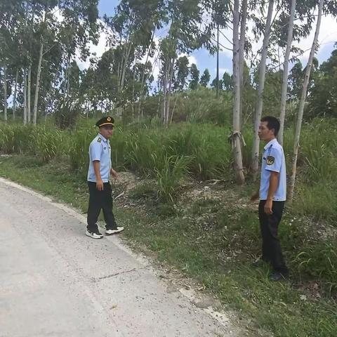 叉河镇开展“秸秆焚烧”日常巡查工作