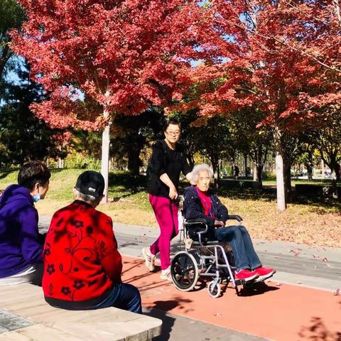 北京国际雕塑公园的秋