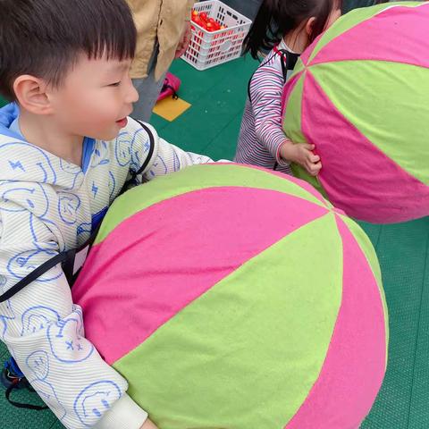 大一班一周精彩回顾🌸