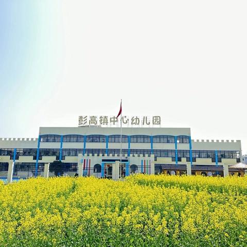 【教师成长】聚焦自主游戏，探索幼儿有意义的学习 ——彭高镇中心幼儿园“Talk教研”第四期‘线上学习活动