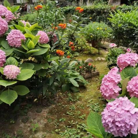 丽阳嘉园7月工作汇报