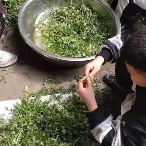 耶﹌耶﹌耶的美篇