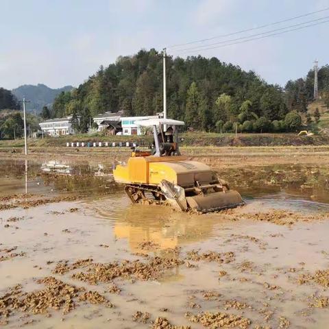 春耕备耕正当时