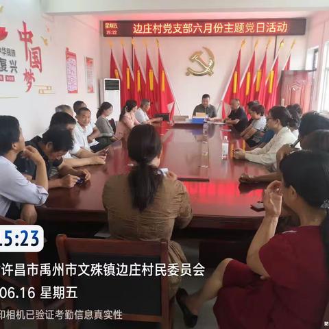 边庄村2023年6月份主题党日活动“学习思想重调研  实干担当促发展”