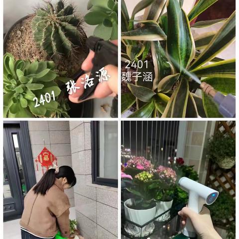 汝州一高高二D部“植树环保爱自然  劳动美育铸心间”德育实践活动