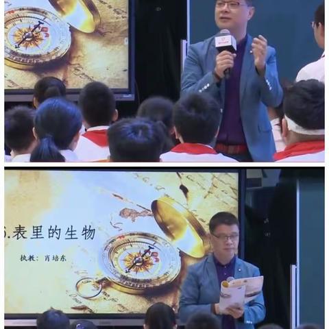 心有花木，向阳而生