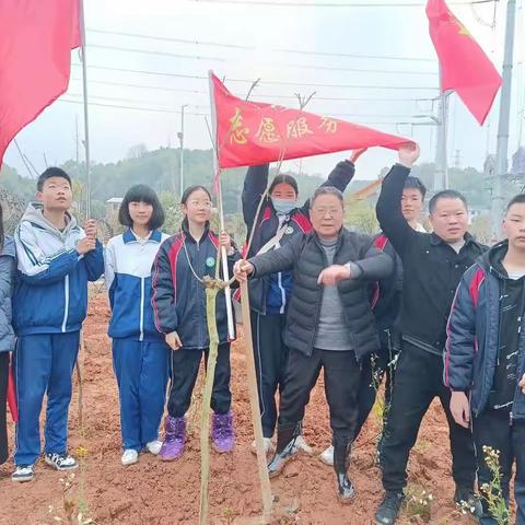 贺家土中学：春风十里，正“植”有你！ ——3.12植树节暨劳动基地实践活动