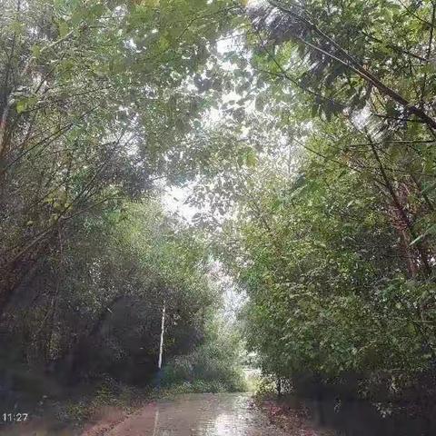 🌈     雨连绵路泥泞 访孤童结伴行