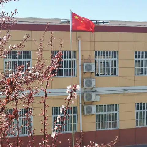不负春光  勤耕不辍——三官庙镇中心学校第六周工作记录