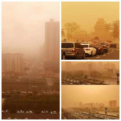 沙尘暴来了，我们该怎么办