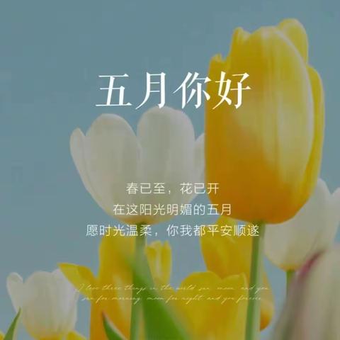 天润大厦2023五月份工作汇报