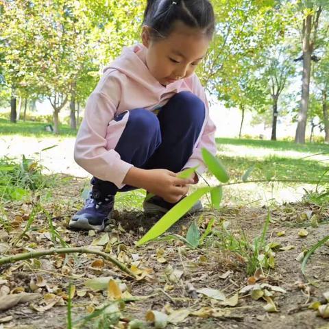 【双减进行时】“以美育劳  以美育德 ——遇见秋天，留住美好”西门里小学一年级四班树叶创意画主题活动