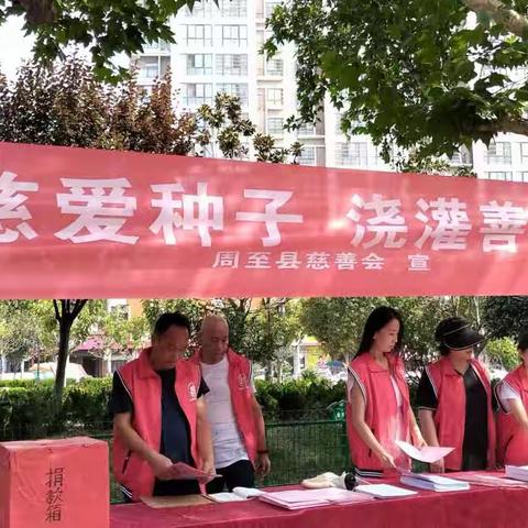 周至县慈善会开展99公益日宣传动员募捐活动