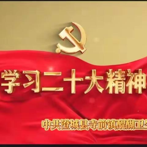 【党建微课堂】一个字，一个词，一句话。读懂二十大精神。