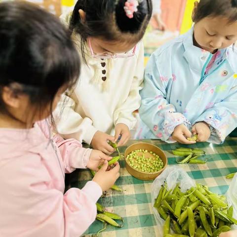 【习惯养成】“五彩夏日饭”金沙湖幼儿园——大三班