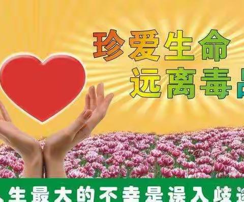 常宁镇中心小学开展《用爱唤起希望，用心抗拒毒魔》禁毒知识宣传活动