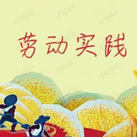 快乐劳动    幸福成长——常宁镇中心小学劳动实践美篇