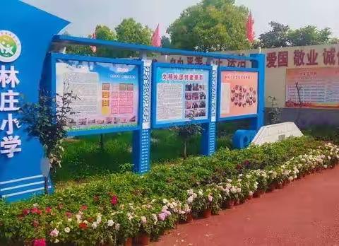 “社”彩缤纷 “团”聚梦想——示范区林庄小学社团活动纪实