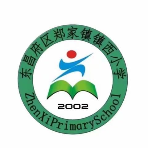 一盔一带，安全常在——东昌府区郑家镇镇西小学关于规范佩戴头盔致家长的一封信