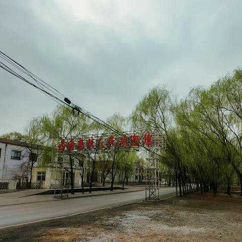 西白兔镇环境整治不停歇  乡村焕发新容颜