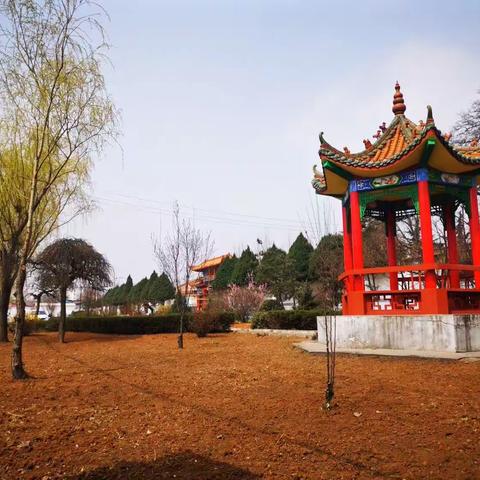 西白兔镇环境卫生综合整治初见成效