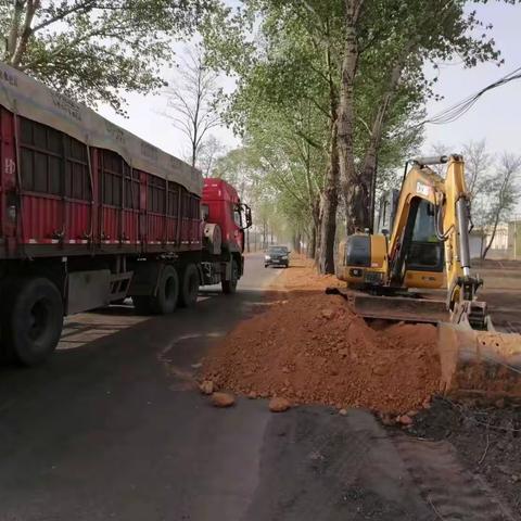 西白兔镇：深入开展爱国卫生运动 推进全域建设“美丽西白兔”