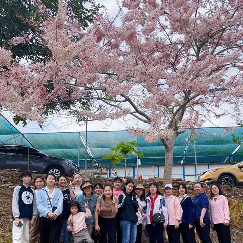 五指山市人力资源和社会保障局党支部开展“追梦新时代巾帼展风采”主题党日活动