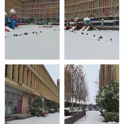 ❄️凝心聚力速除雪，全心全意为幼儿——中牟县紫薇路第二幼儿园除雪活动