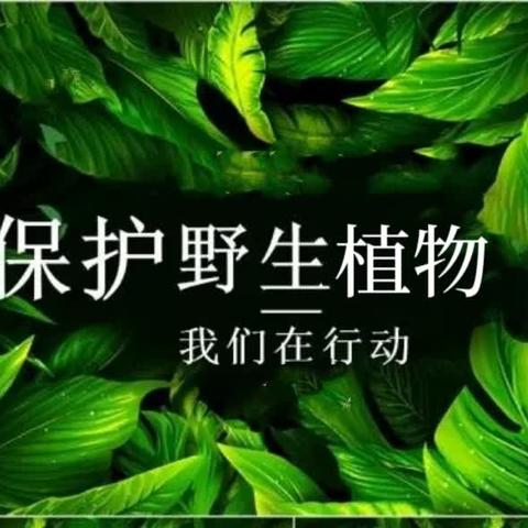 尚志市林业和草原局推动野生植物保护工作取得显著成效